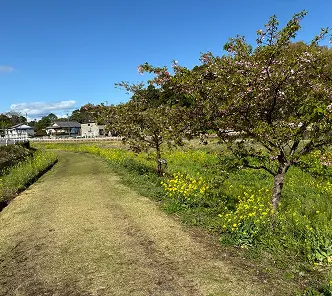 園の1日の流れのイメージ写真