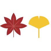 11月